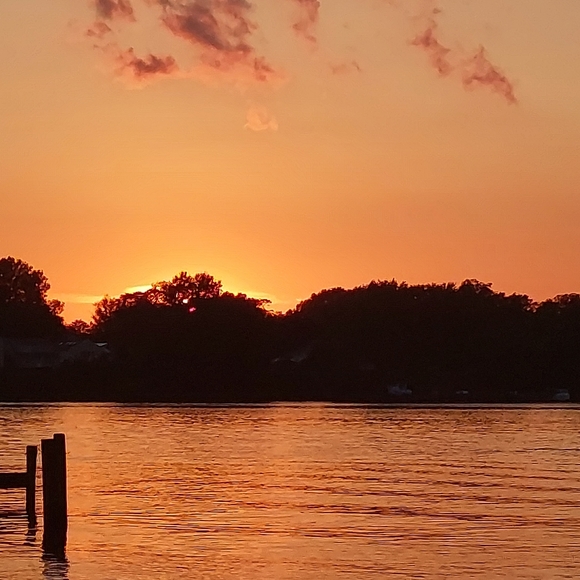 Meet your Posher, Melissa - Picture 6 of 7